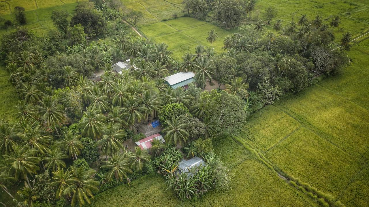 Bed and Breakfast Coconut Park Анурадхапура Екстер'єр фото
